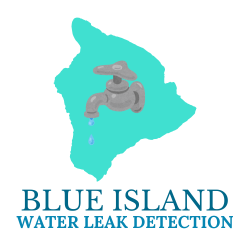 Blue island water leak logo